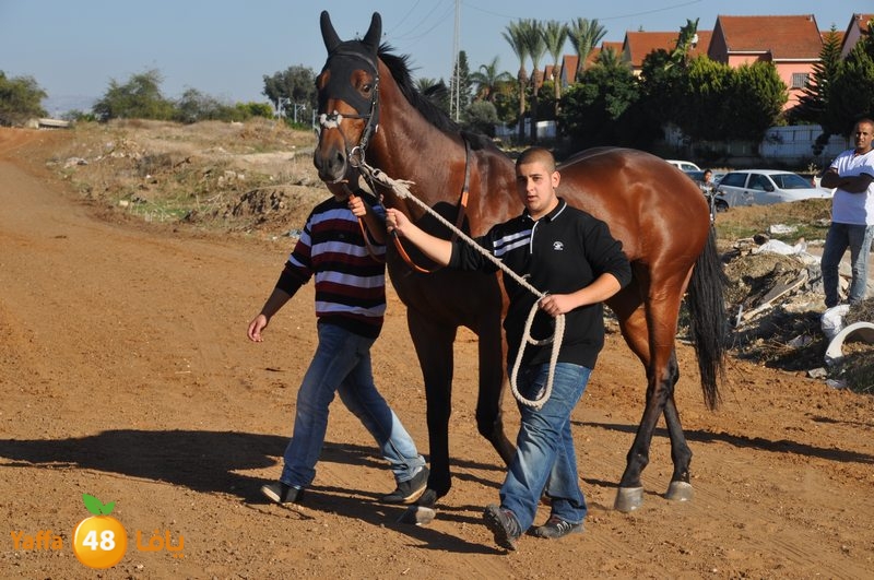 Khowoyouls ramala (27).JPG